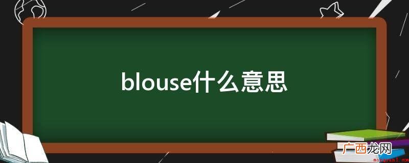 blouse释意:女土短上衣,比较宽松衬衣 blouse什么意思