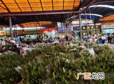 广州哪里有花的批发市场,请问广州的种植兰花的批发市场在哪里？
