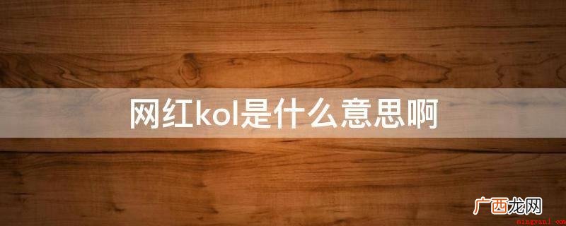 网红kol是重要建议领袖的意思 网红kol是什么意思啊