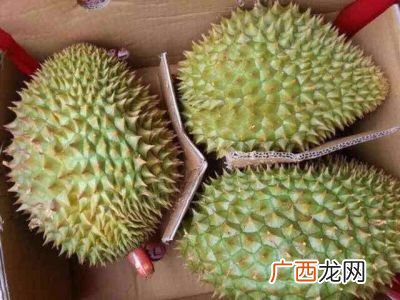 长柄榴莲是猫山王的吗,托曼尼榴莲特点？
