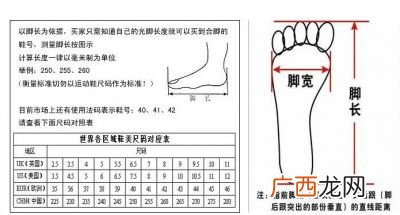 脚长怎么量,量脚尺的正确使用方法？
