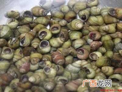 螺丝要不要焯水再炒