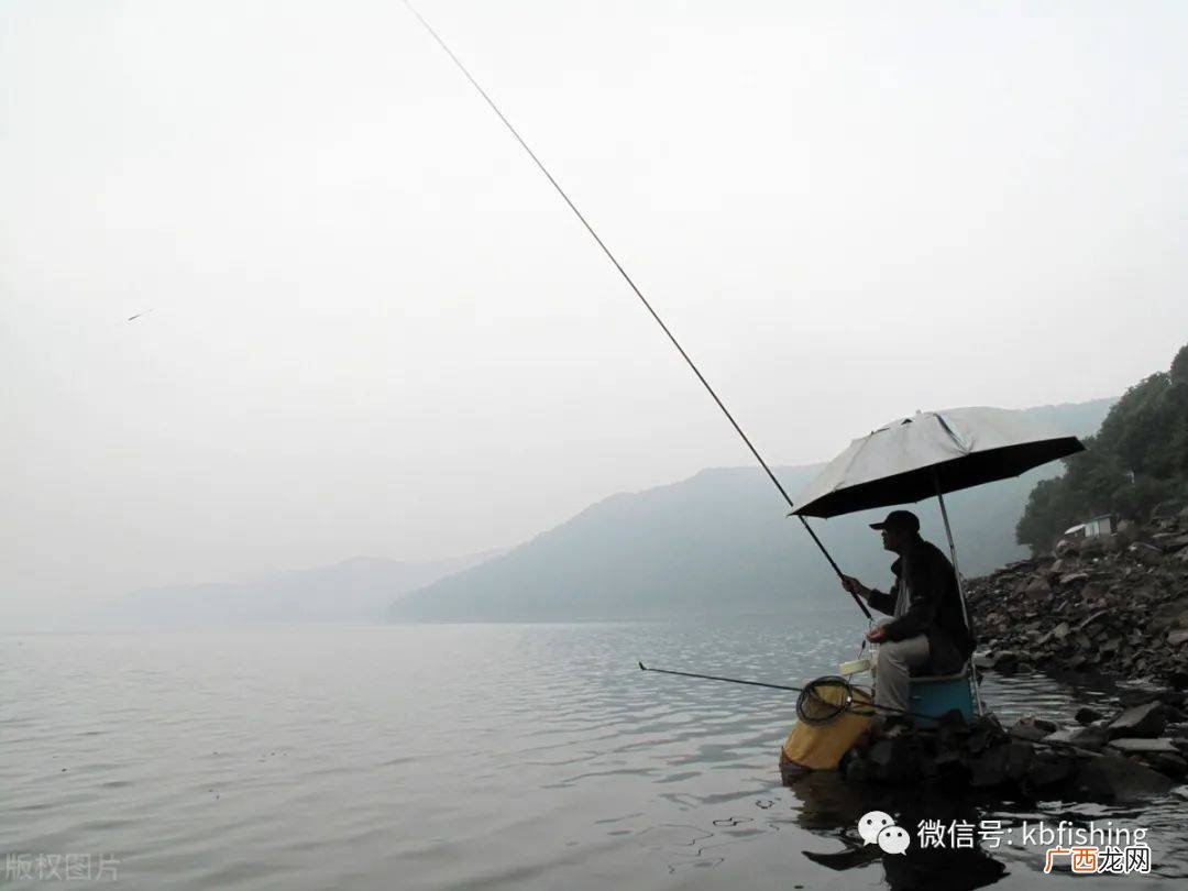 为什么钓鱼总是钓不到,原神钓鱼为什么钓不上来?