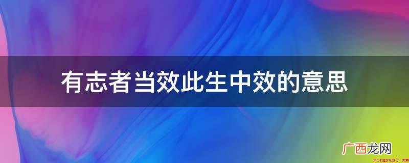 天下无难事当效过滤器的意思 有志者当效此生中效的意思