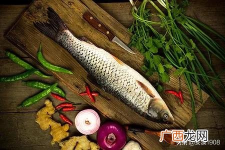 做鱼丸用什么鱼好,做鱼丸用什么鱼好？
