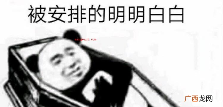 网络用语安排是什么意思