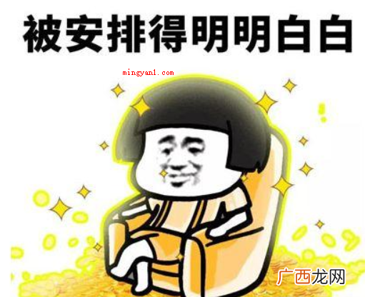 网络用语安排是什么意思