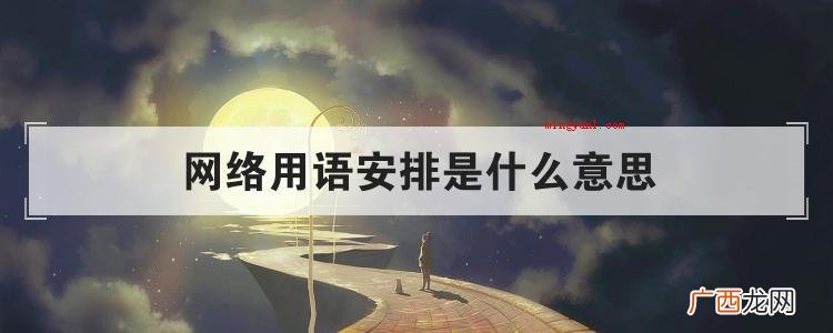 网络用语安排是什么意思