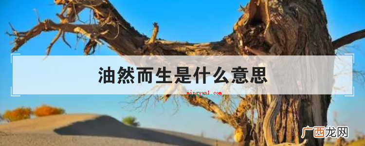 溢于言表是什么意思呢? 油然而生是什么意思