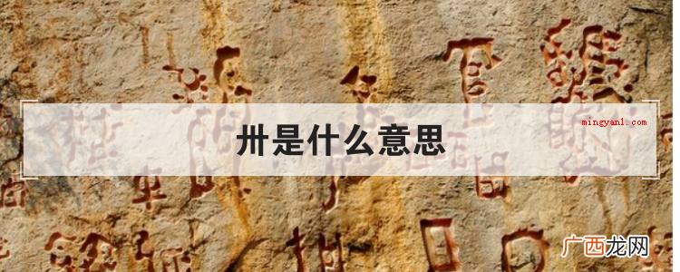 数据三十的中文代用字,新中国成立前,在纪年和计数层面是应用频 卅是什么意思