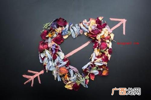 爱着你是一见钟情,爱你是平平淡 15字以内的表白情话有哪些？