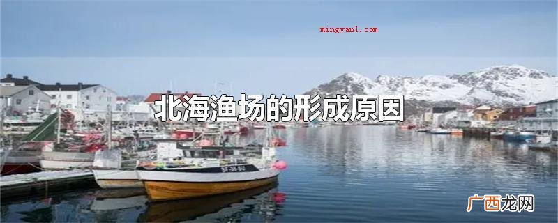 北海渔场的产生因素是寒暖流交汇 北海渔场的形成原因