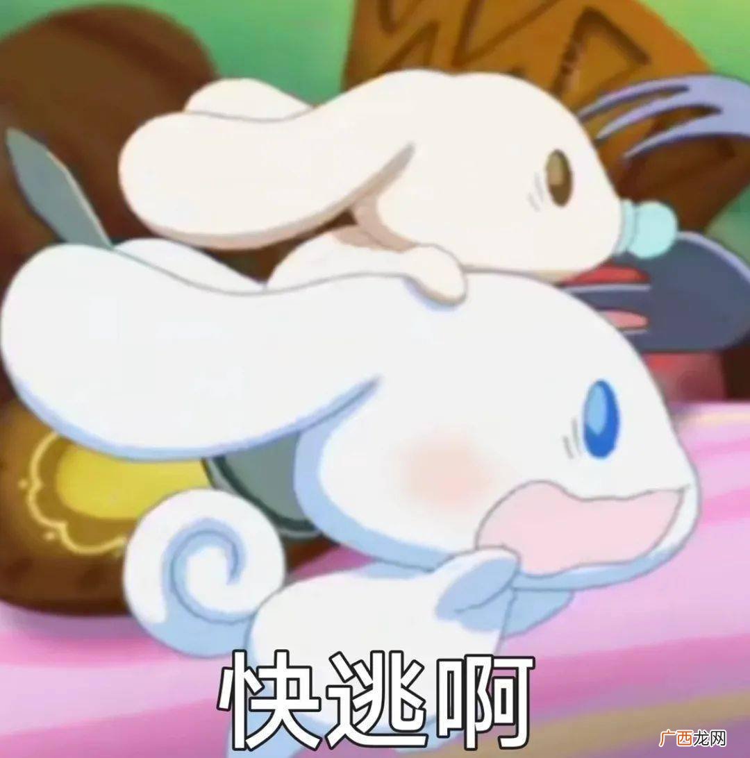 大耳狗和玉桂狗有什么区别,月桂狗出自哪部动漫？