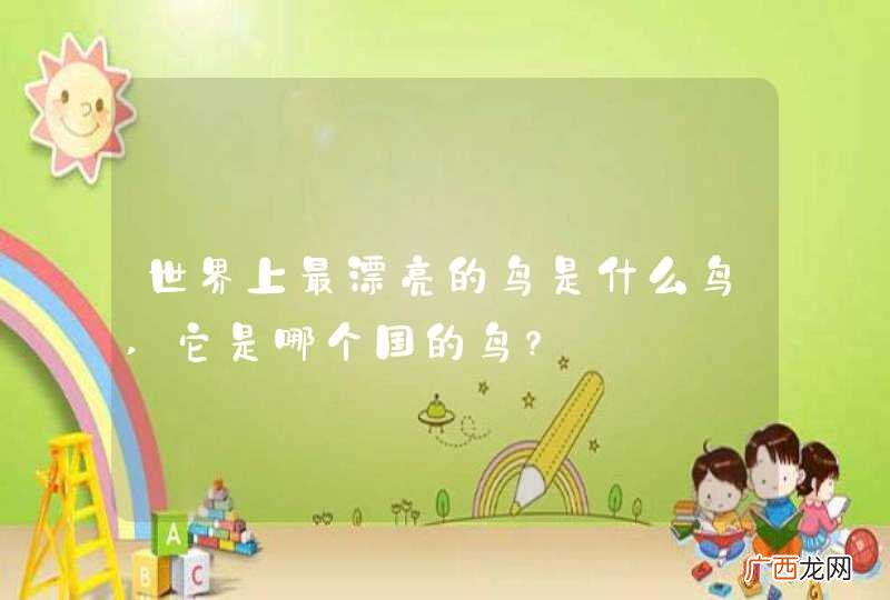 世界上最漂亮的鸟是什么鸟,它是哪个国的鸟?