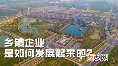 如何发展乡镇企业,什么是乡镇企业？它具有哪些特征？内容是什么？