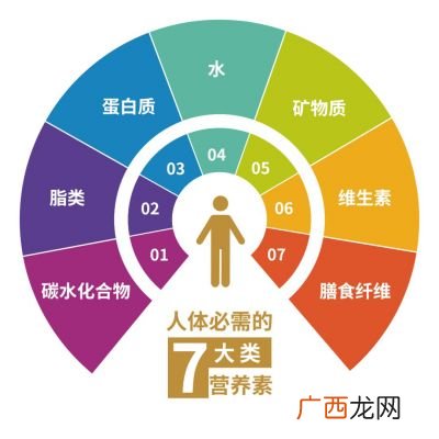 七大营养素的作用,不可缺少的一项元素?