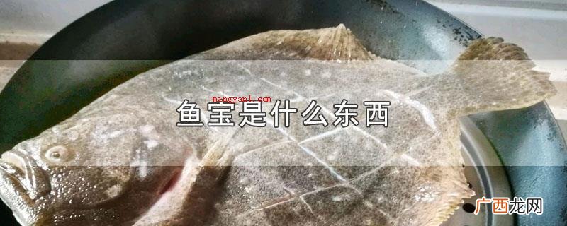 鱼宝指的是什么_宠物频道 鱼宝是什么东西