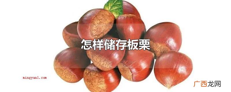 储存板栗的方法有哪些? 怎样储存板栗