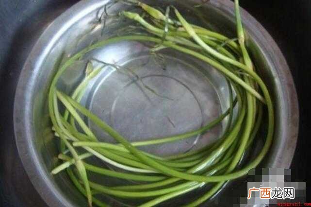 蒜苗怎么切,蒜苗切的全部内容 蒜苗怎么切