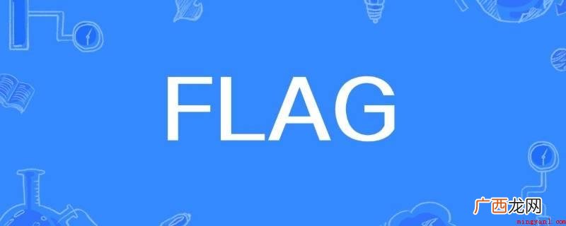 网络流行词,二次元术语,英语单词本意为旗子、标识 flag是什么意思中文