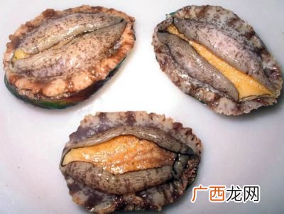鲍鱼品种,两头的鲍鱼是怎么意思?鲍鱼几头的好？