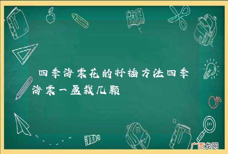 四季海棠花的扦插方法四季海棠一盆栽几颗