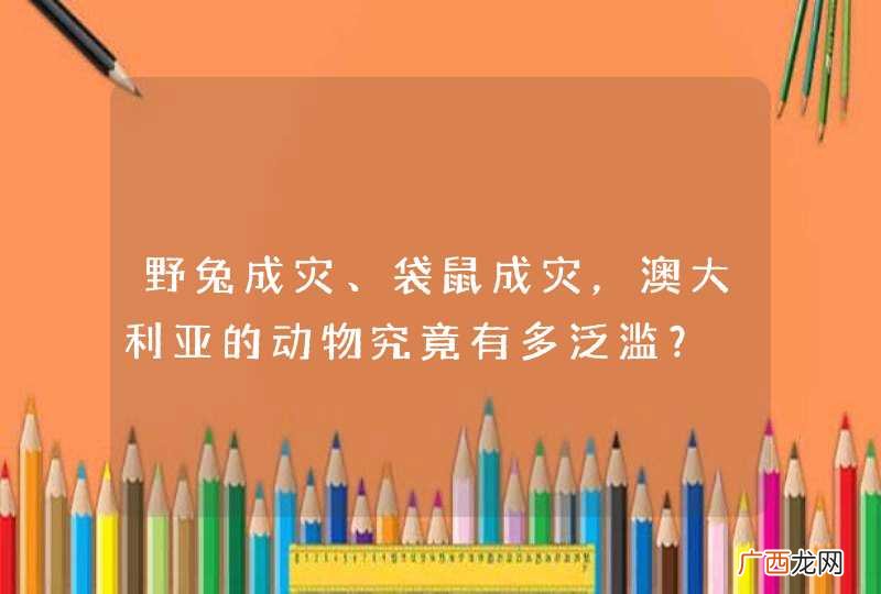 野兔成灾、袋鼠成灾，澳大利亚的动物究竟有多泛滥？
