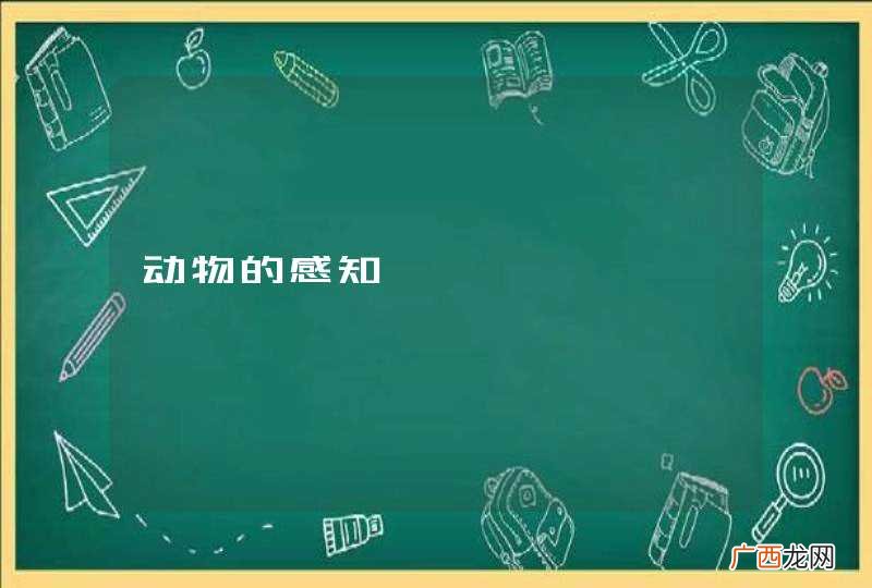 动物的感知