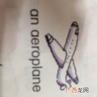 飞机英语怎么读,bird英语的读法怎么读？