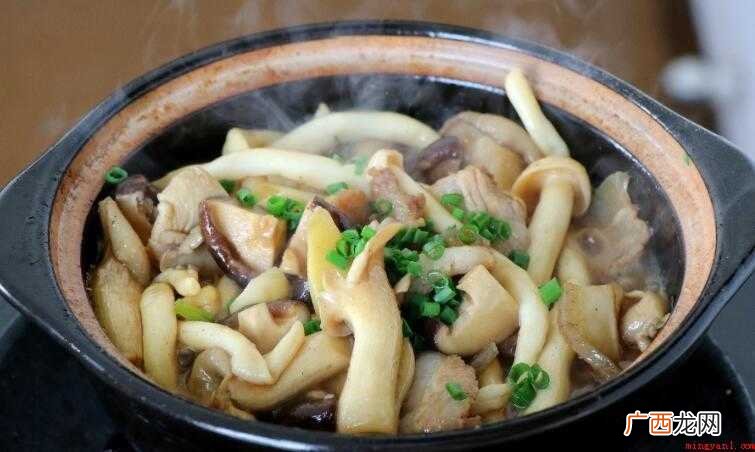 杂菇煲是什么菜系