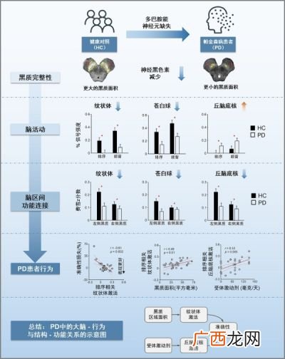 中脑包括什么结构,中脑包括哪些？
