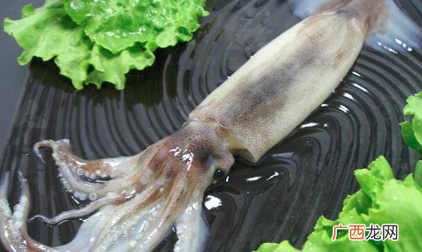 鱿鱼和海猫的营养价值区别 鱿鱼和海猫的区别