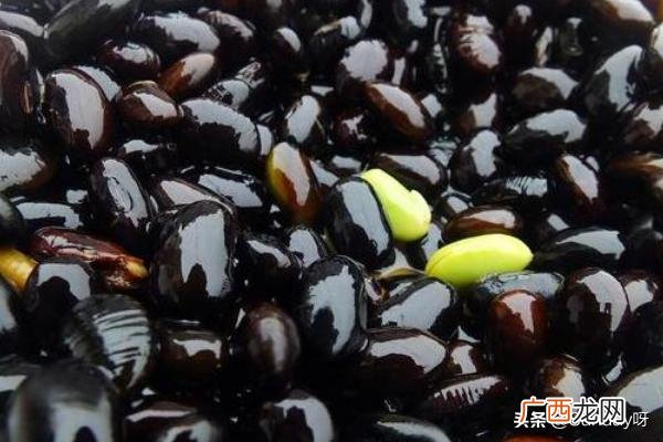 如何煮黑豆水,黑豆水怎么煮？