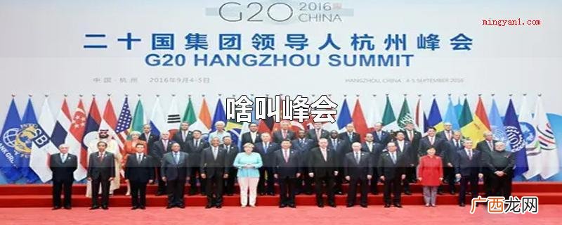 峰会的原意是山的尖形,峰会就是指高手与高手中间的对战 啥叫峰会