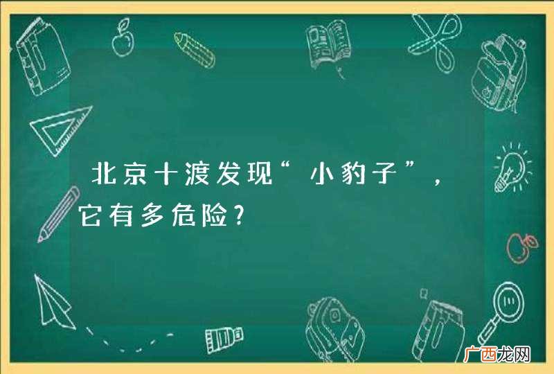北京十渡发现“小豹子”，它有多危险？