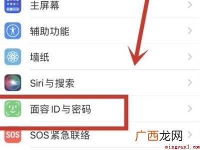 iOS15 ios15怎么关闭下拉检索的实际操作步骤 ios15怎么关闭下拉搜索