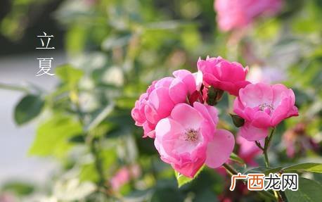 立夏是什么季节立夏是什么时候,立夏几月几日几时几分几秒？