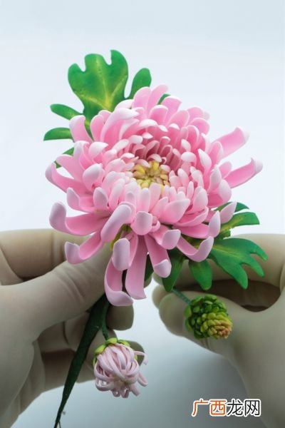 花是怎么来的,冬天的花都是怎么来的？