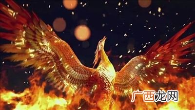 带凤凰的成语有哪些,凤凰展翅用成语？