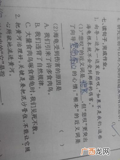 根本的近义词是什么,的确和仔细的近义词是什么？