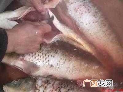 鱼下锅前怎么处理