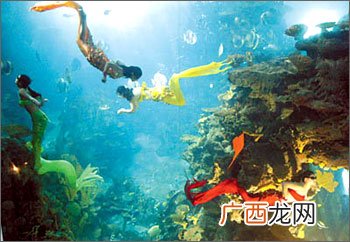 广州有海洋世界吗,深圳有几个海洋世界？