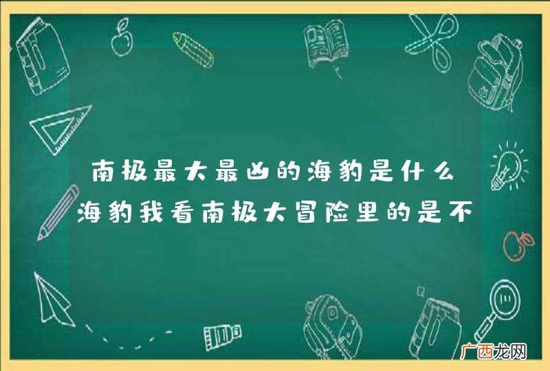 南极最大最凶的海豹是什么海豹我看南极大冒险里的是不是叫豹形海豹