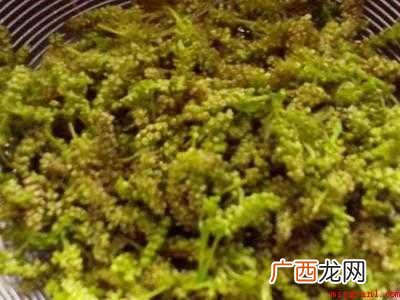 桑花怎么吃