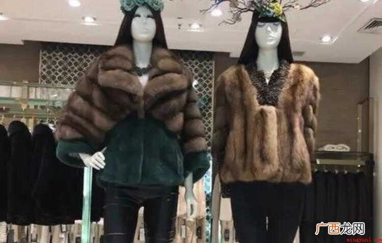 貂皮大衣怎么洗 全部内容 貂皮大衣怎么洗