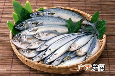 深海鱼类有哪些鱼,世界上生活在最深海域的鱼？