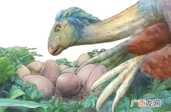镰刀龙的特点,镰刀龙是哪个世纪的？