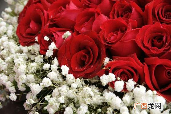 一朵玫瑰花代表什么意思,表情包一束花代表什么意思？
