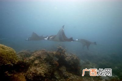 世界未解之谜百慕大三角,百慕大三角未解之谜之首?