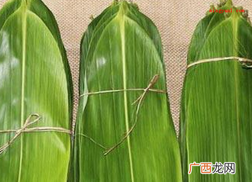 包粽子的功效与作用_健康频道 粽子叶要煮多久才可以？